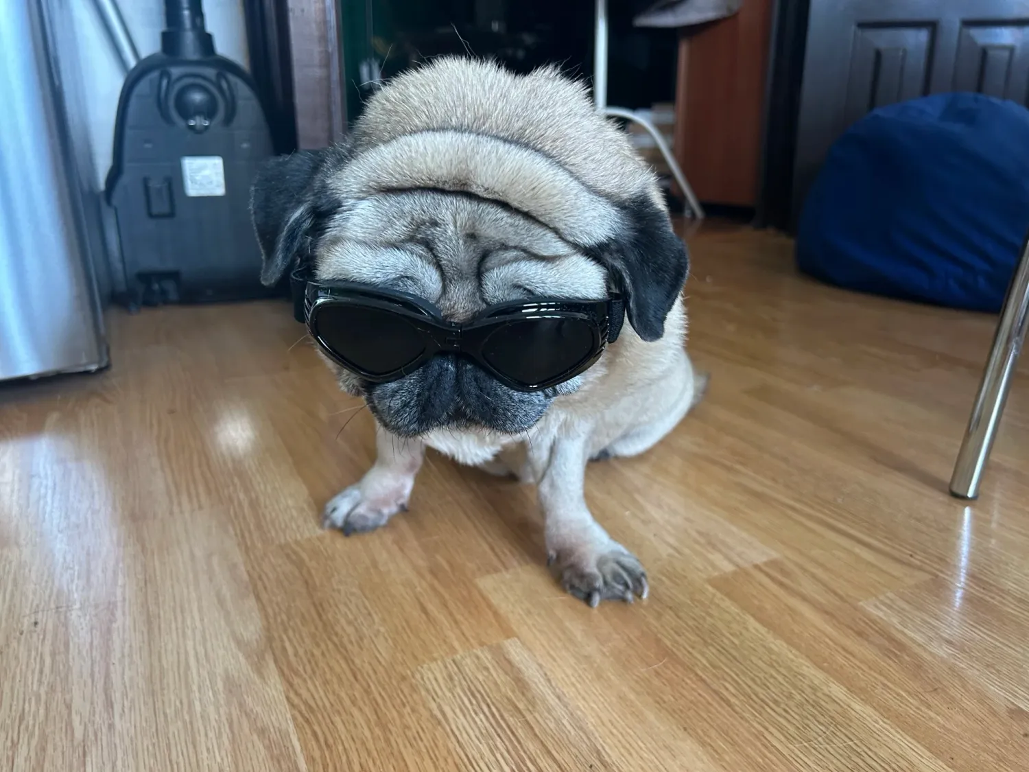 Pawtato Foldable hundglasögon vit solskydd