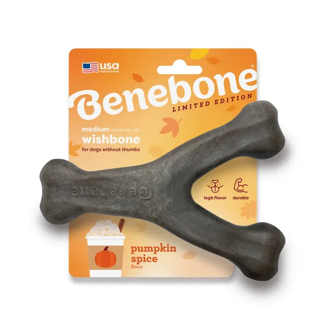 Benebone Pumpkin Spice Wishbone tuggben small pumpakrydda
