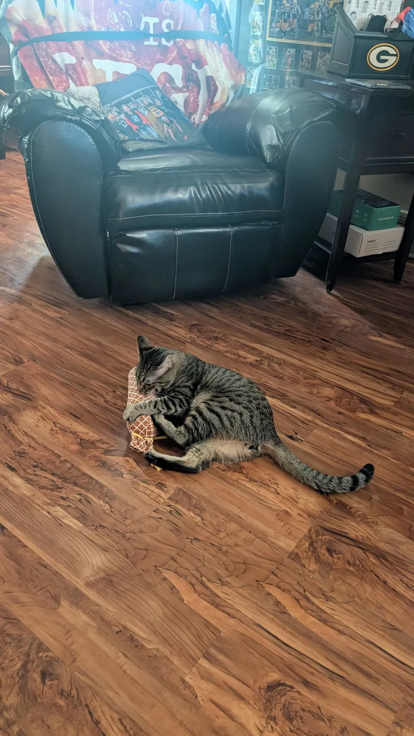 P.L.A.Y. Feline Frenzy Salami Slammer kattleksak kattmynta