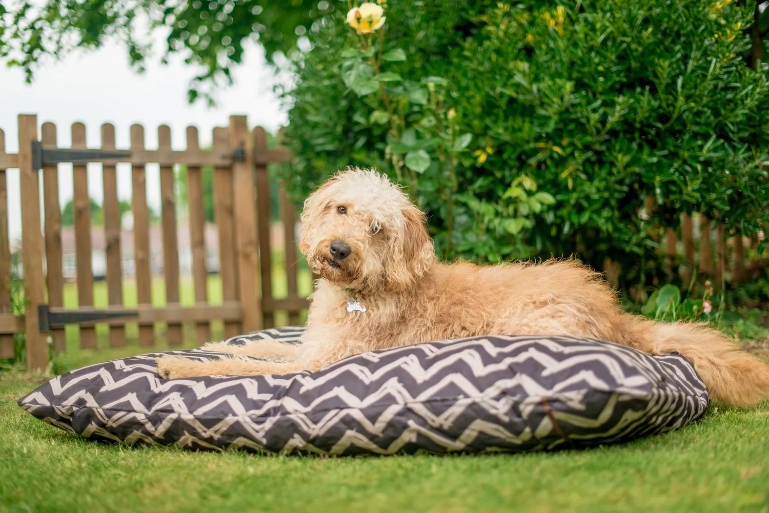 P.L.A.Y. Outdoor Bed hundbädd utomhus M röd vattentålig
