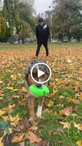 Spunky Pup Squeak & Glow Football boll grön