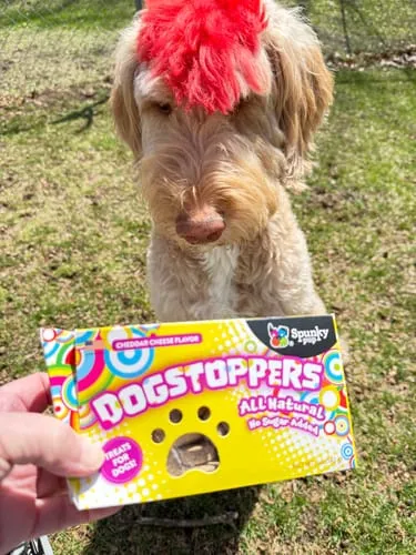 Spunky Pup Dogstoppers hundkex ost 5 oz