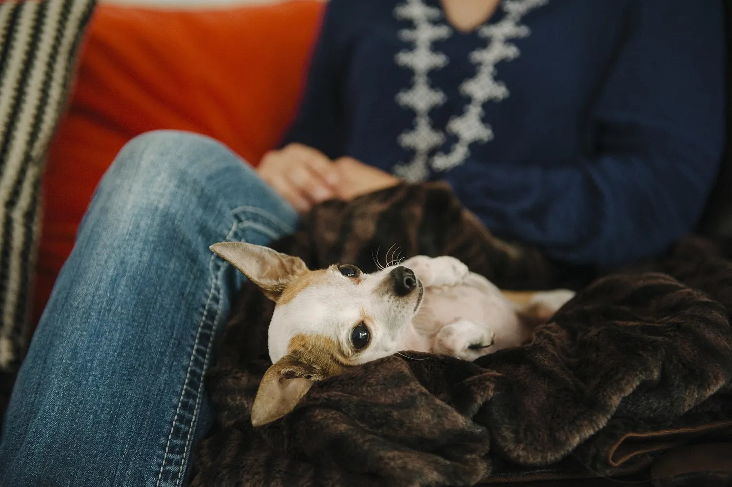 P.L.A.Y. Luxe Throw hundfilt vattenavvisande