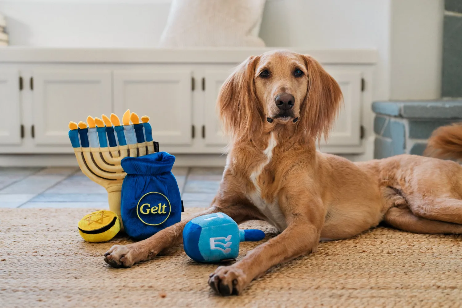 P.L.A.Y. Paw-nukkah hundleksaker 3-pack med pip
