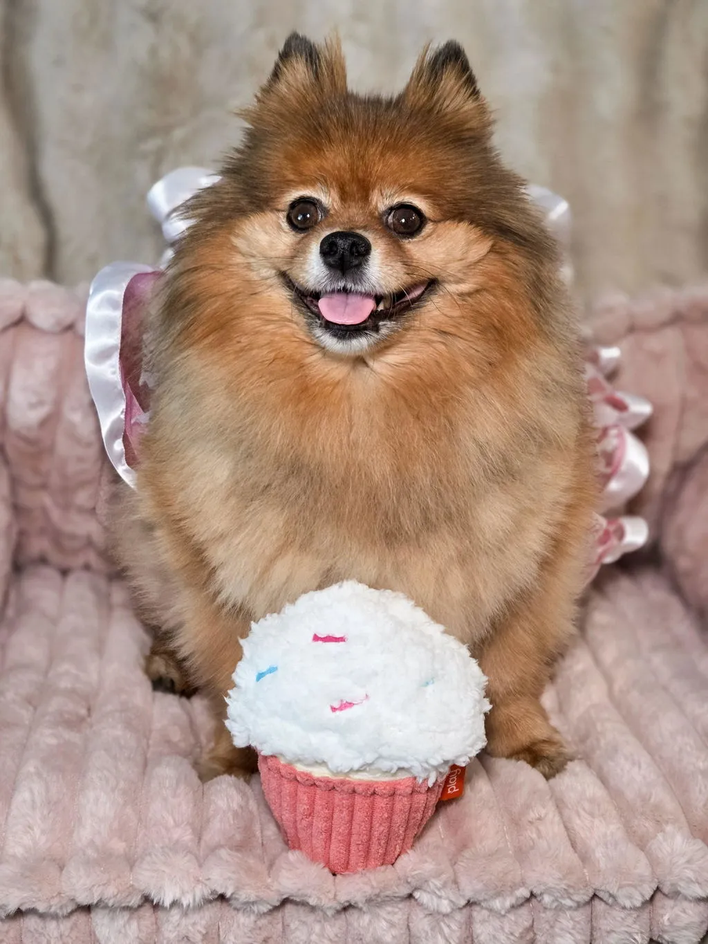 P.L.A.Y. Sugar Rush Cupcake hundleksak 2-i-1 med godisboll