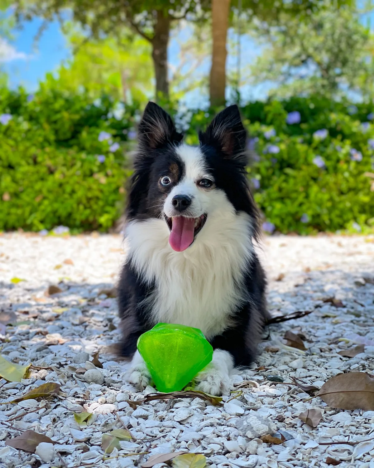Spunky Pup Squeaky Gems Diamond hundleksak bla med pip