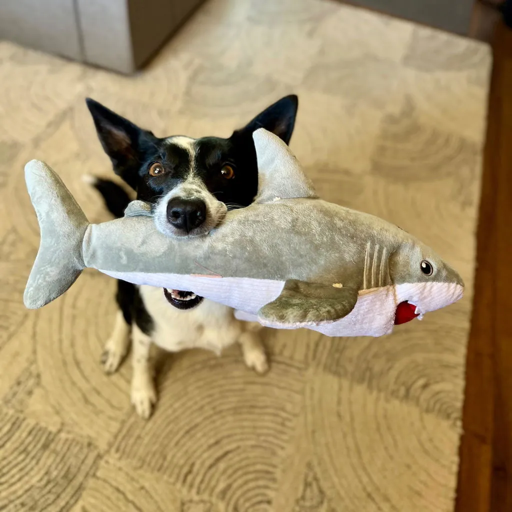 P.L.A.Y. Ocean Buddies Great White Gabe hundleksak haj med pip