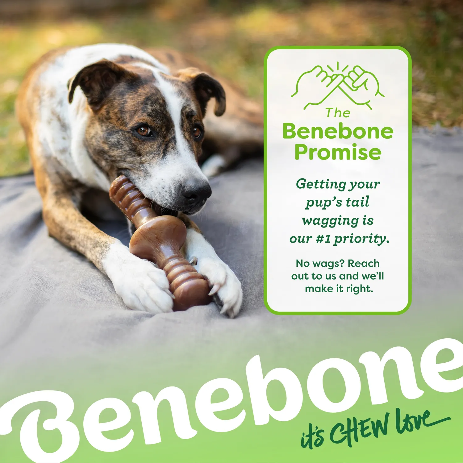 Benebone Zaggler tuggben medium bacon rullande