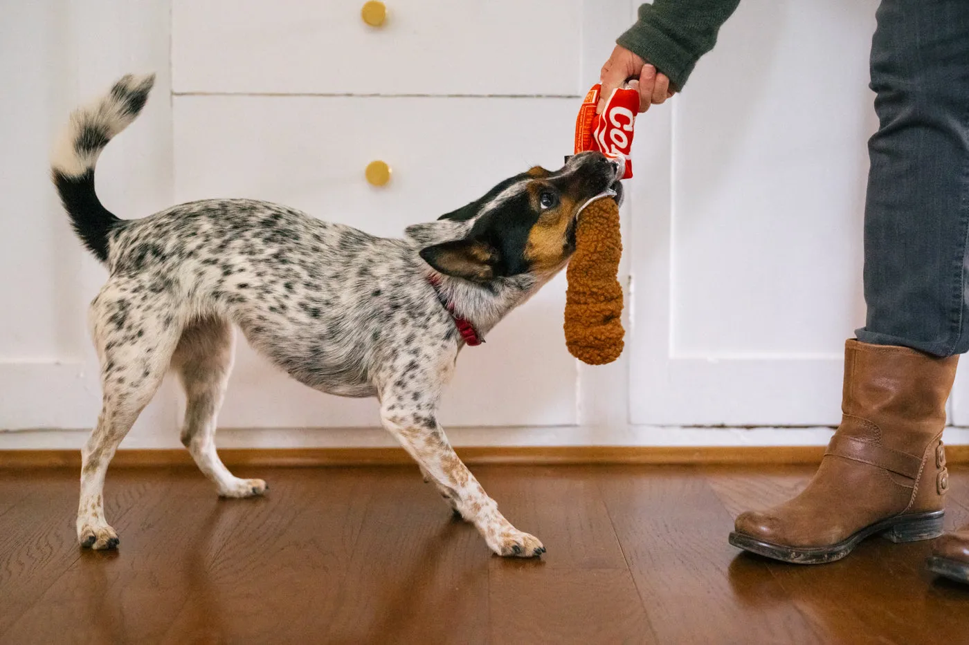 P.L.A.Y. Snack Attack Good Boy Cola hundleksak M med pip
