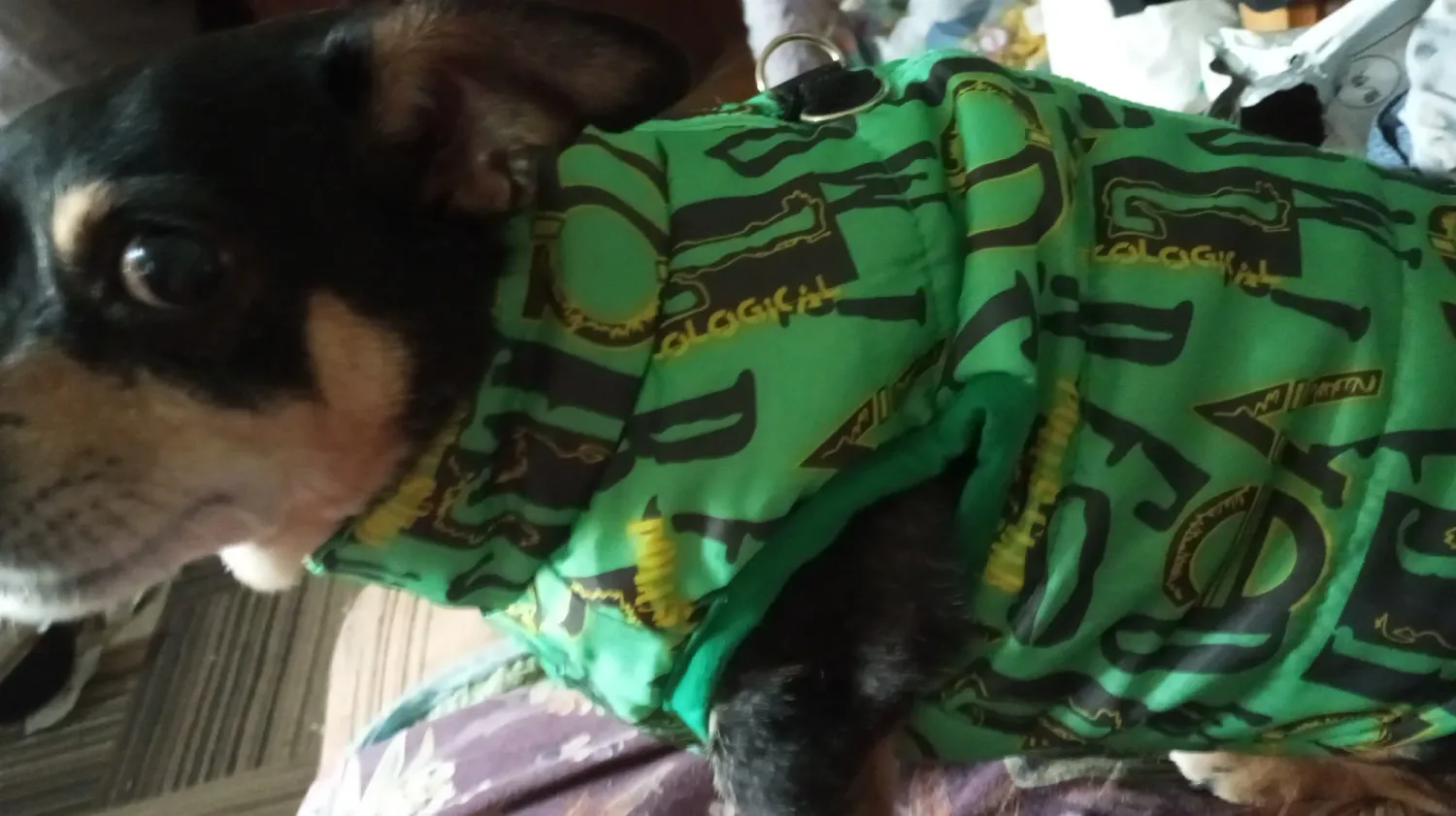 Pawtato Winter Vest hundväst liten röd skalle XS
