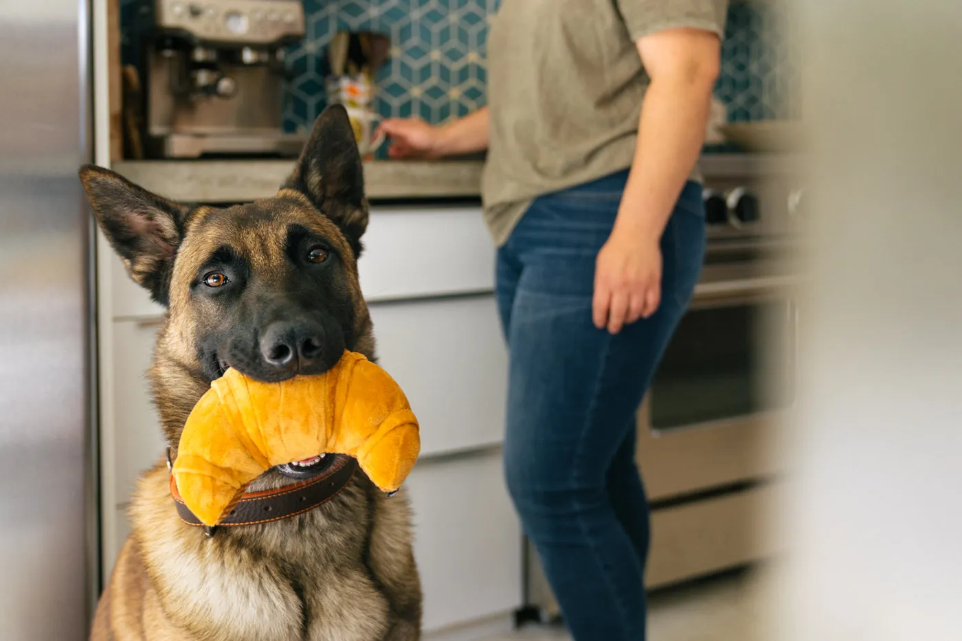 P.L.A.Y. Barking Brunch Pup's Pastry hundleksak M