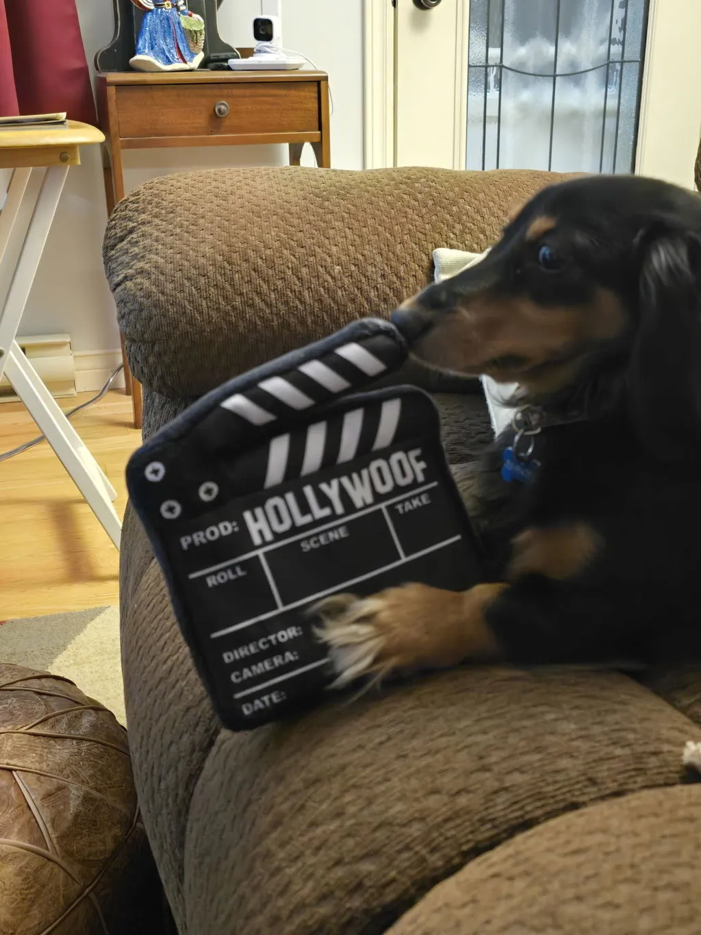 P.L.A.Y. Hollywoof Cinema 3-Dog Glasses hundleksak mjuk med pip
