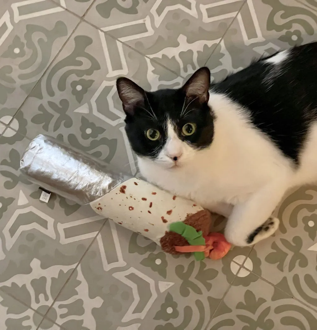 P.L.A.Y. Feline Frenzy Shrimp Purrito kattleksak kicker med kattmynta