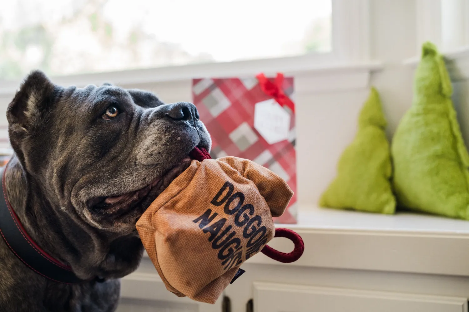 P.L.A.Y. Home for the Holidays Fur-ever Naughty mjuk hundleksak kol