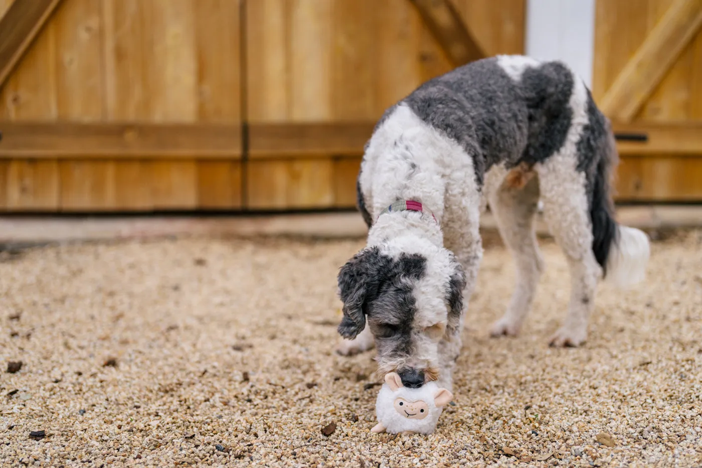P.L.A.Y. Barnyard Buddies Sadie the Sheep hundleksak large vit