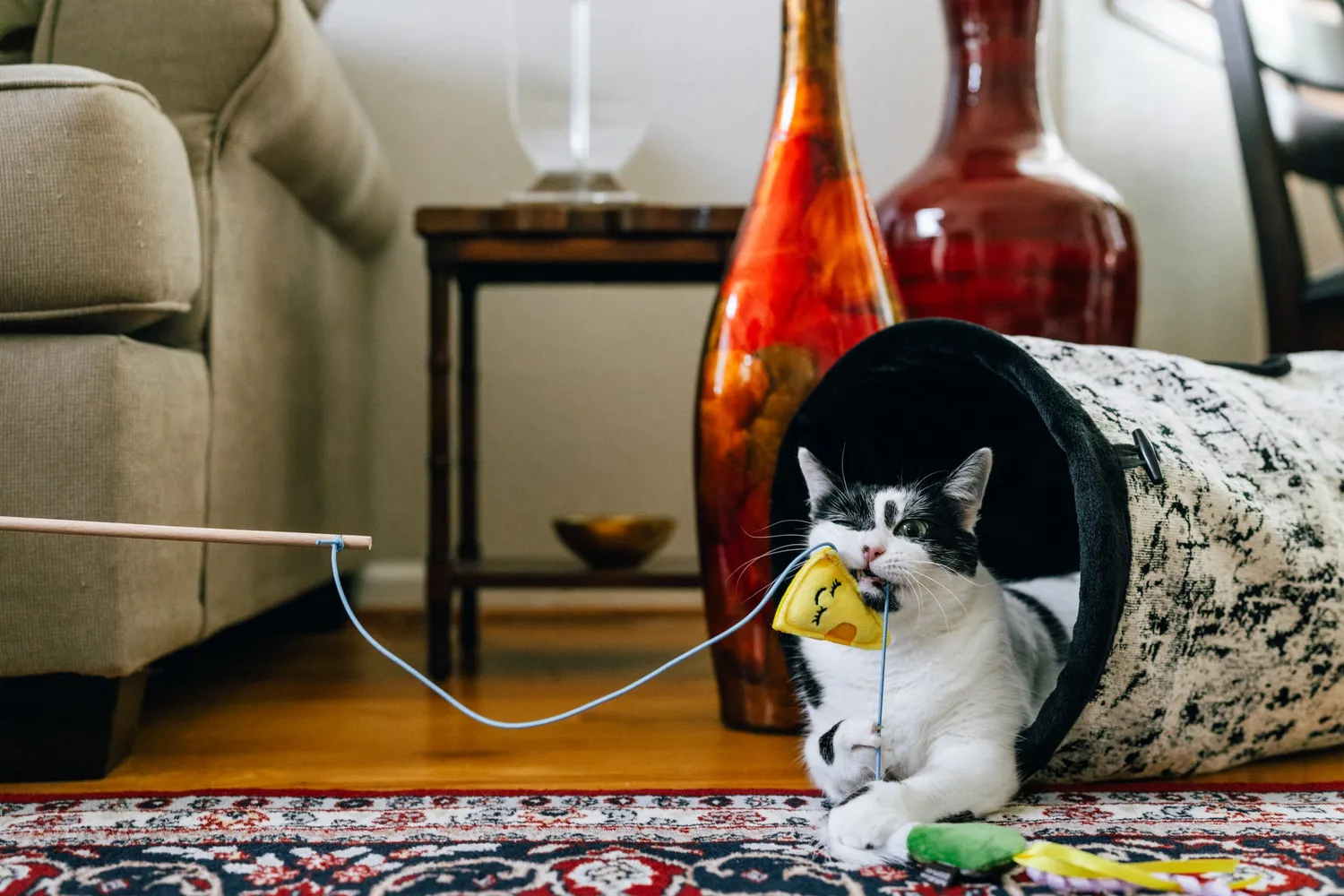 P.L.A.Y. Feline Frenzy Feline Blanc spöleksak kattmynta