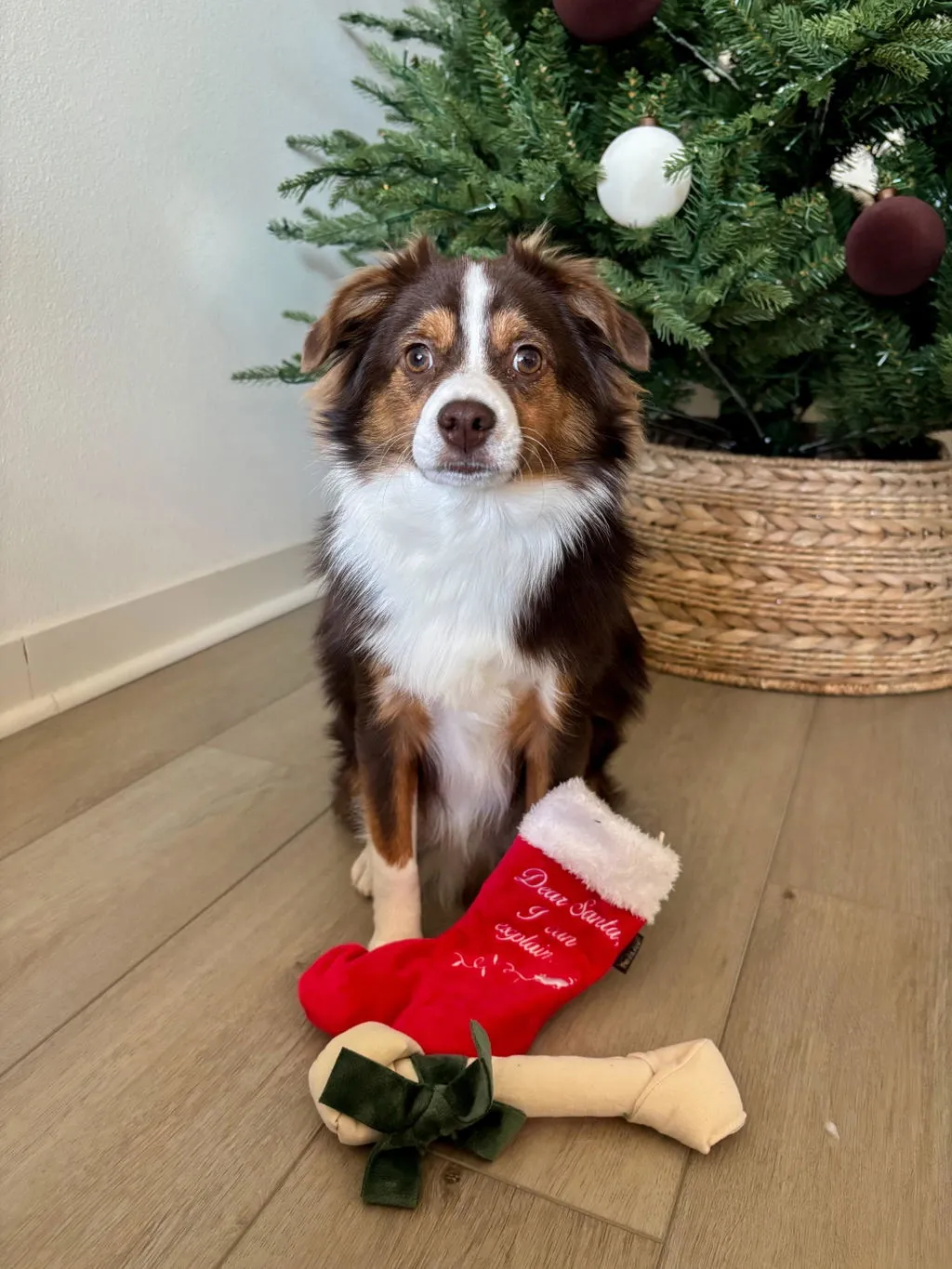 P.L.A.Y. Merry Woofmas Clumsy Claus hundleksak tomte med pip