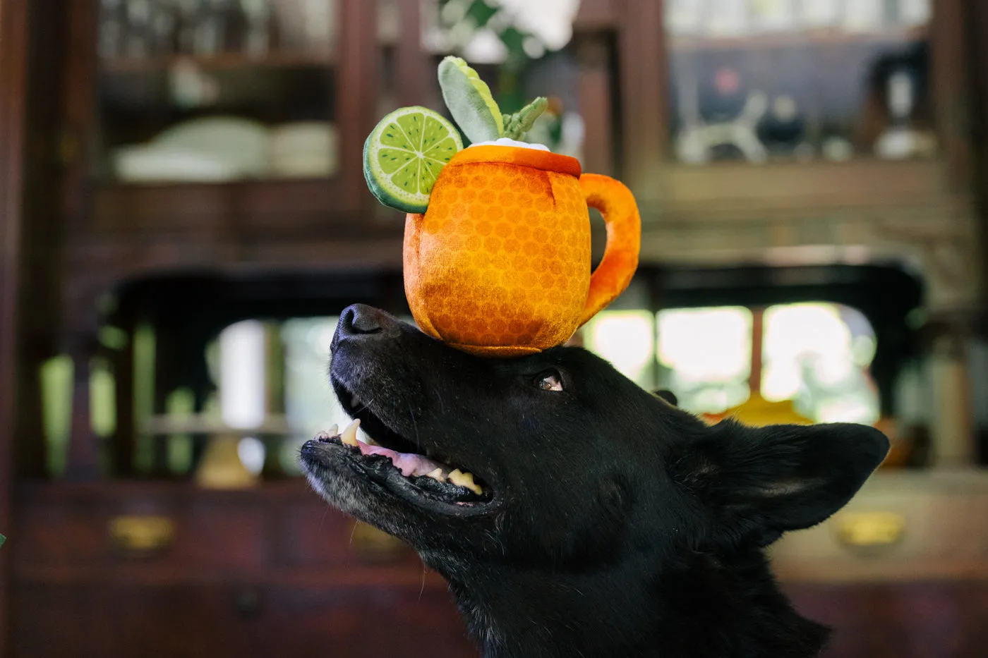 P.L.A.Y. Barktender hundleksak set 5-pack pip