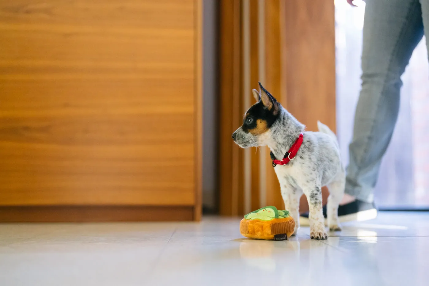 P.L.A.Y. Barking Brunch Collection hundleksak set 5-pack