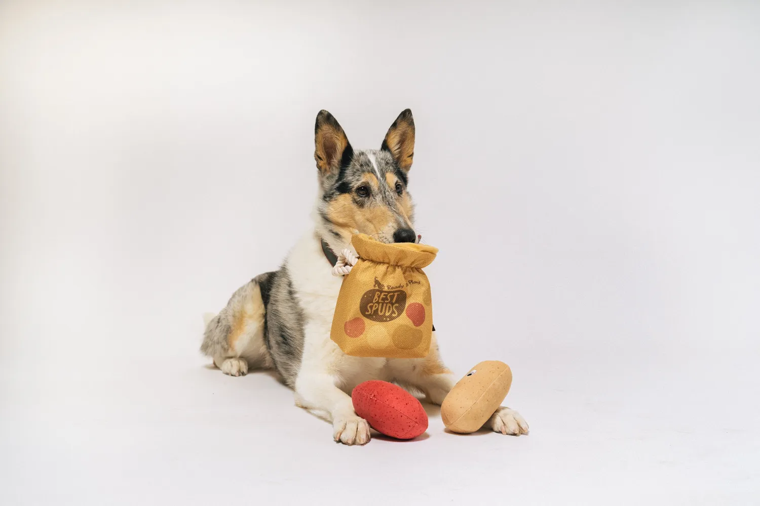 P.L.A.Y. Picked Fresh Potato Pals hundleksak 3-i-1 med pip