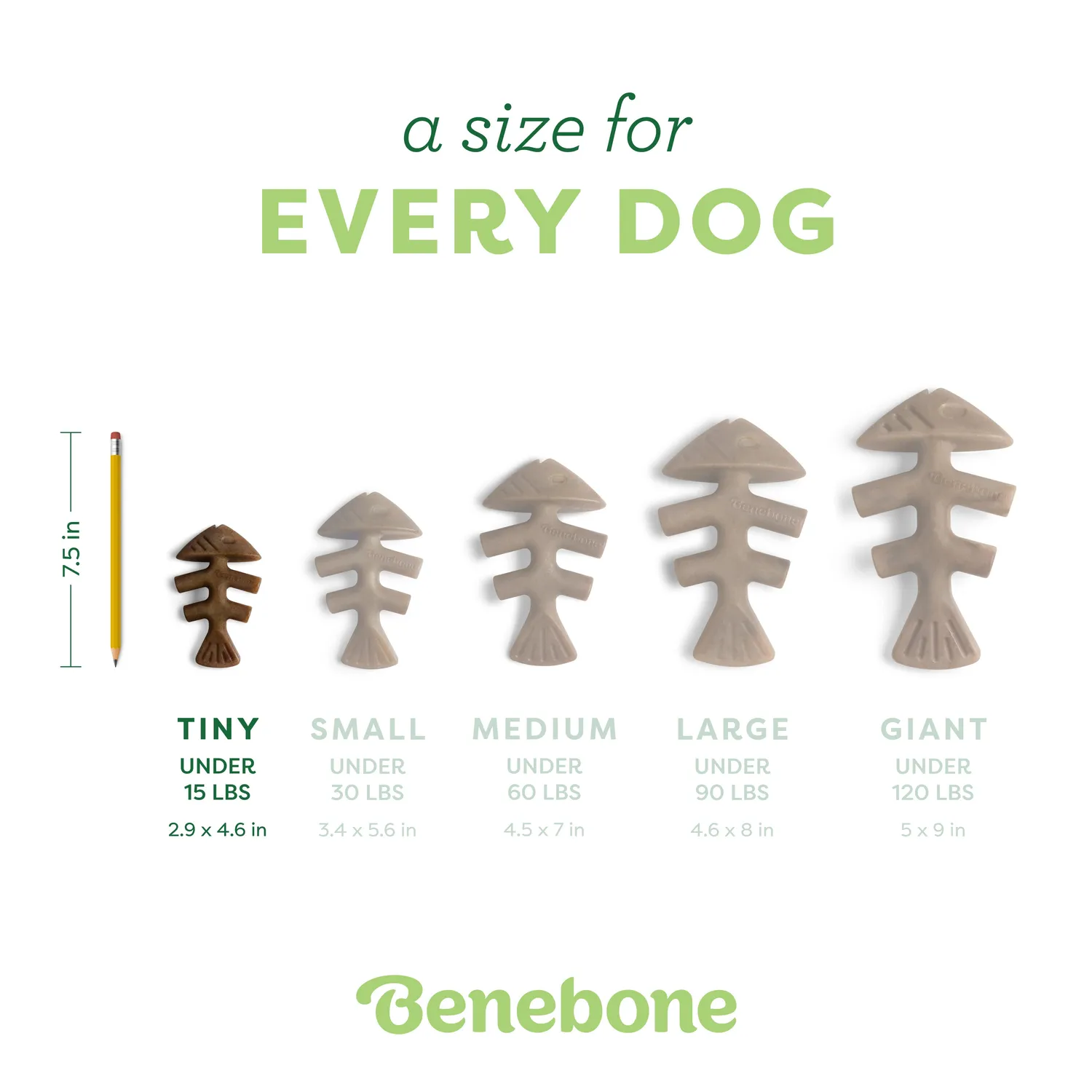 Benebone Fishbone tuggben Medium lax nylon