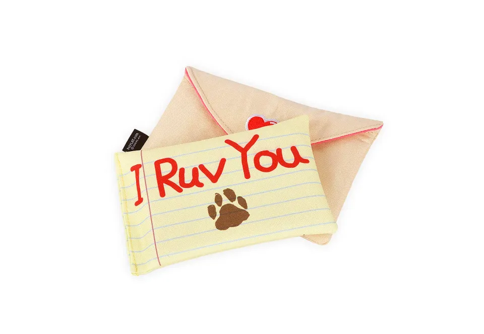 P.L.A.Y. Love Bug Ruv Letter hundleksak brev med pip