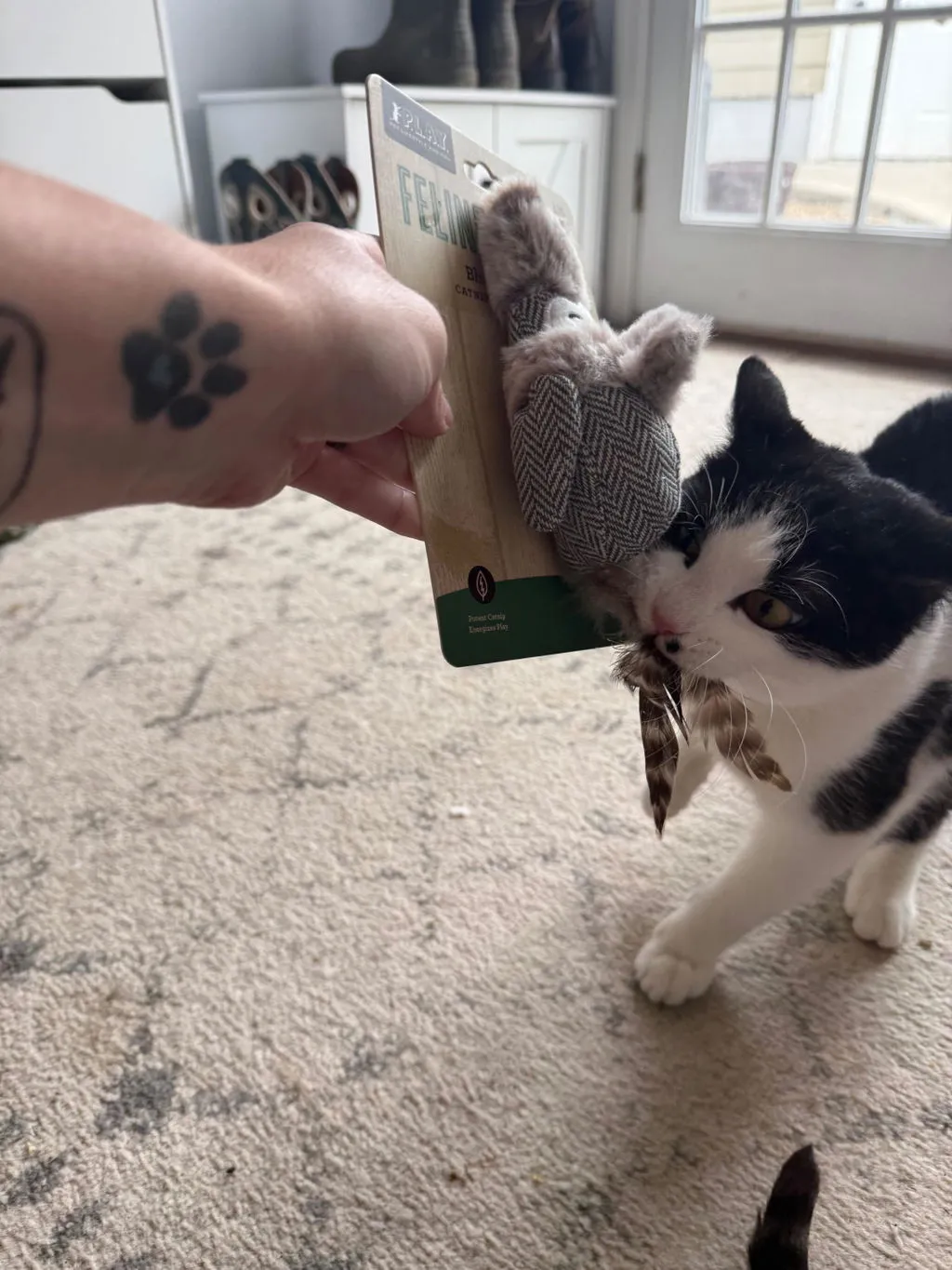 P.L.A.Y. Feline Frenzy Chirpy Birdie kattleksak med skrammel
