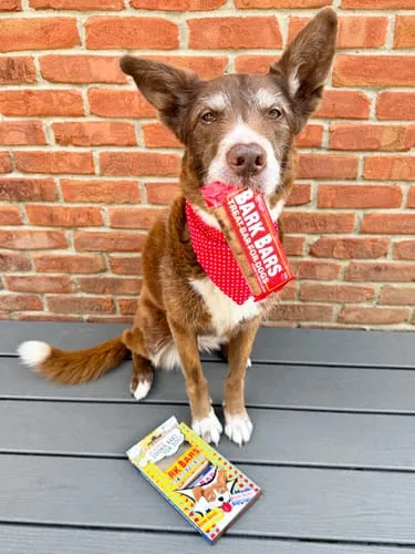 Spunky Pup Bark Bar hundgodis peanut butter singelbar