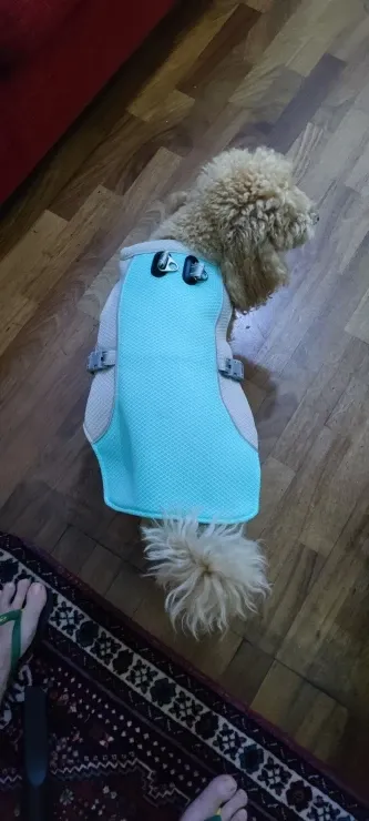 Pawtato Cooling Dog Vest kylande hundväst med koppelring