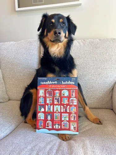 Spunky Pup Holiday adventskalender hund 25 luckor jordnöt