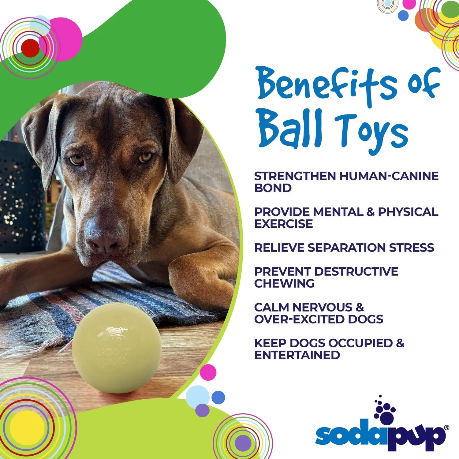 SodaPup Squeak Ball pipboll medium glow in the dark