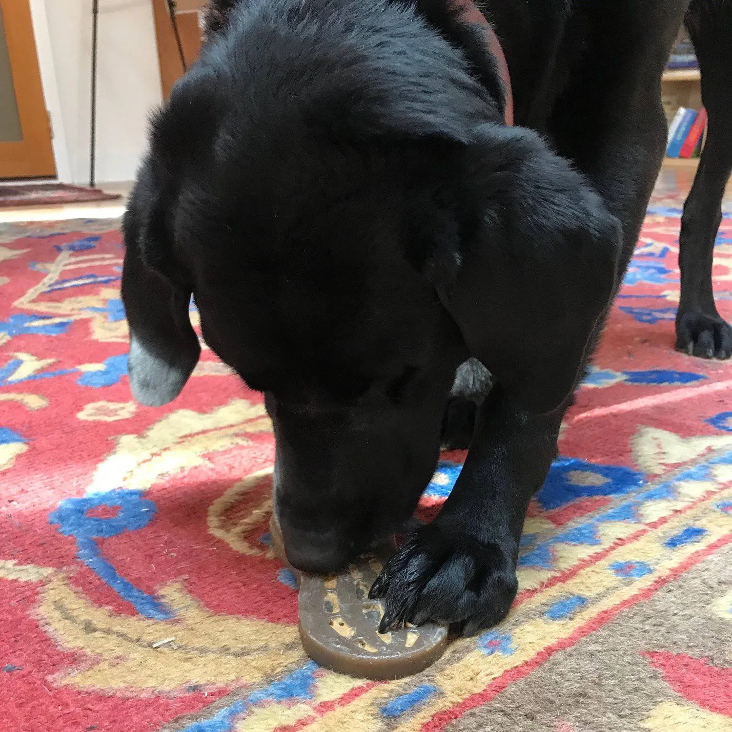 SodaPup Peanut eChew tuggleksak brun nylon jordnöt