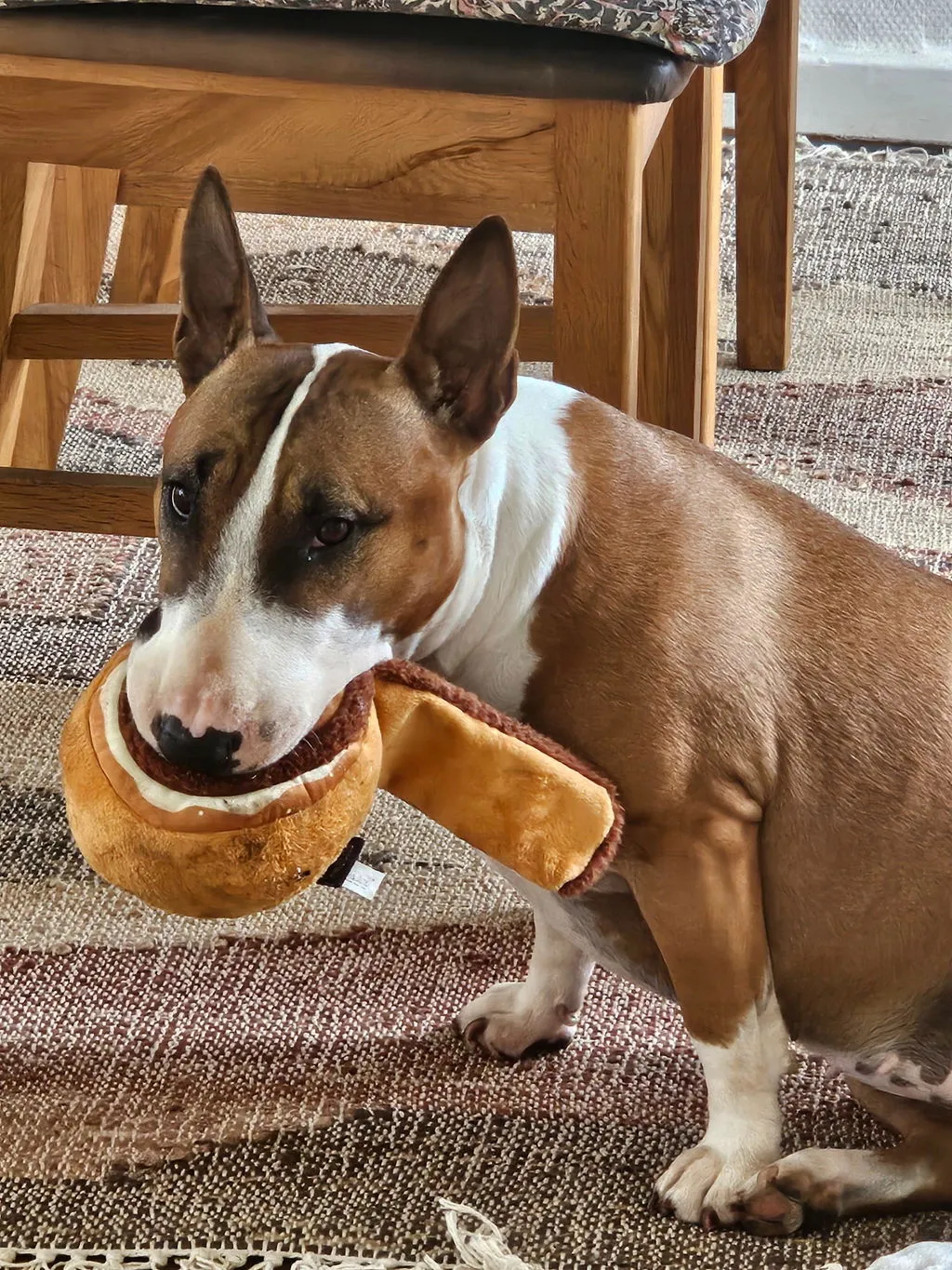 P.L.A.Y. Pup Cup Café Doggo's Java hundleksak med pip