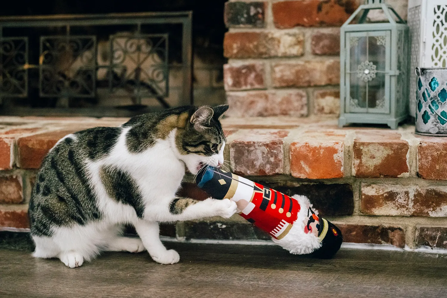 P.L.A.Y. Feline Frenzy Jolly Nutcracker kattleksak kicker