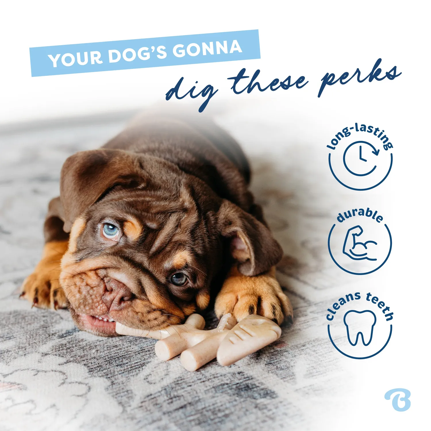 Benebone Puppy Fishbone tuggben tiny lax