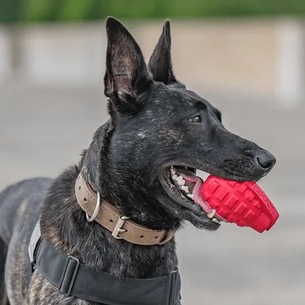SodaPup USA-K9 Grenade tuggleksak gummi medium röd