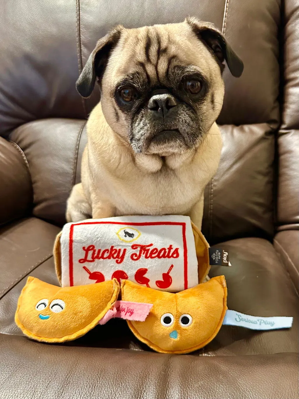 P.L.A.Y. Fog City Lucky Treats aktiveringsleksak