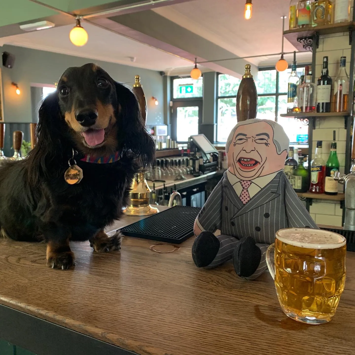 Pet Hates Toys Nigel Farage hundleksak Regular med pip