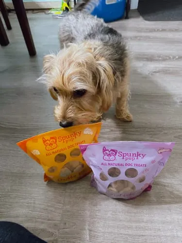 Spunky Pup All Natural Baked Biscuits hundkex Prime Rib 10 oz naturliga