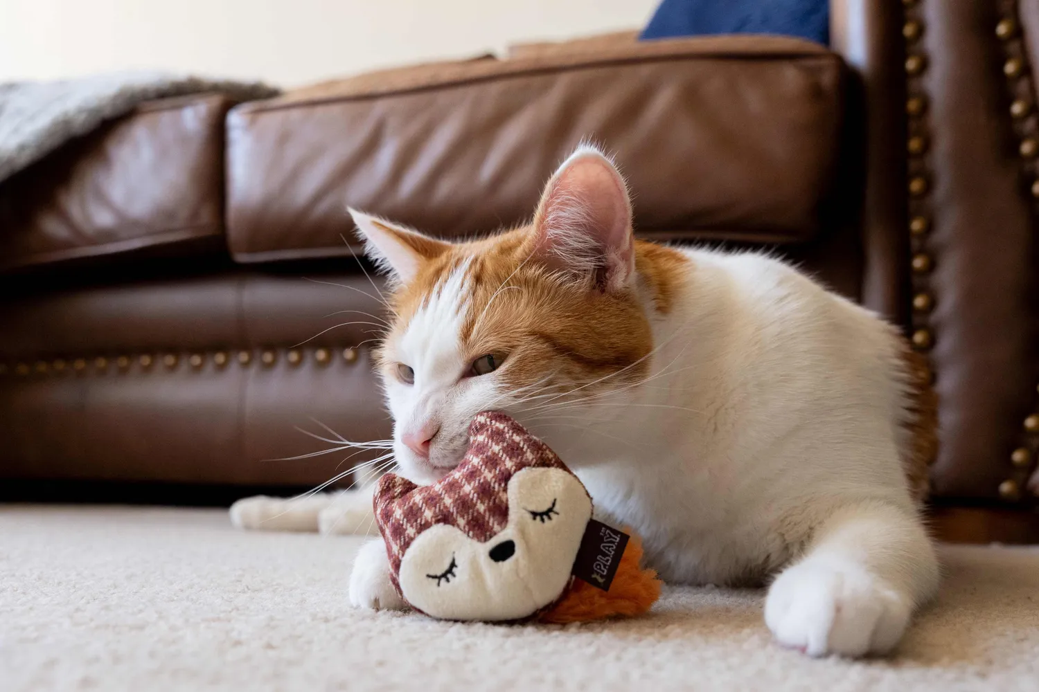 P.L.A.Y. Feline Frenzy Foxsy & Hopsy kattleksak 2-pack med kattmynta