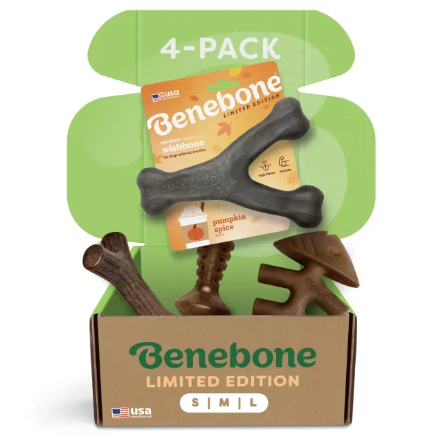 Benebone Pumpkin Spice tuggben 4-pack