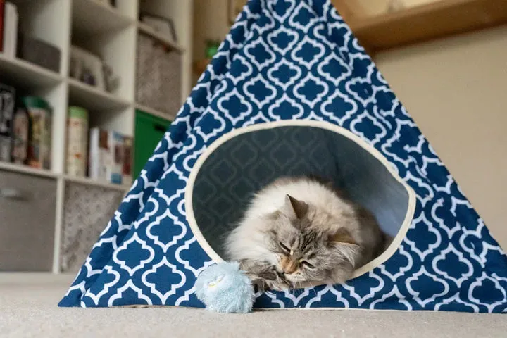 P.L.A.Y. Feline Frenzy Balls of Furry kattleksak set kattmynta
