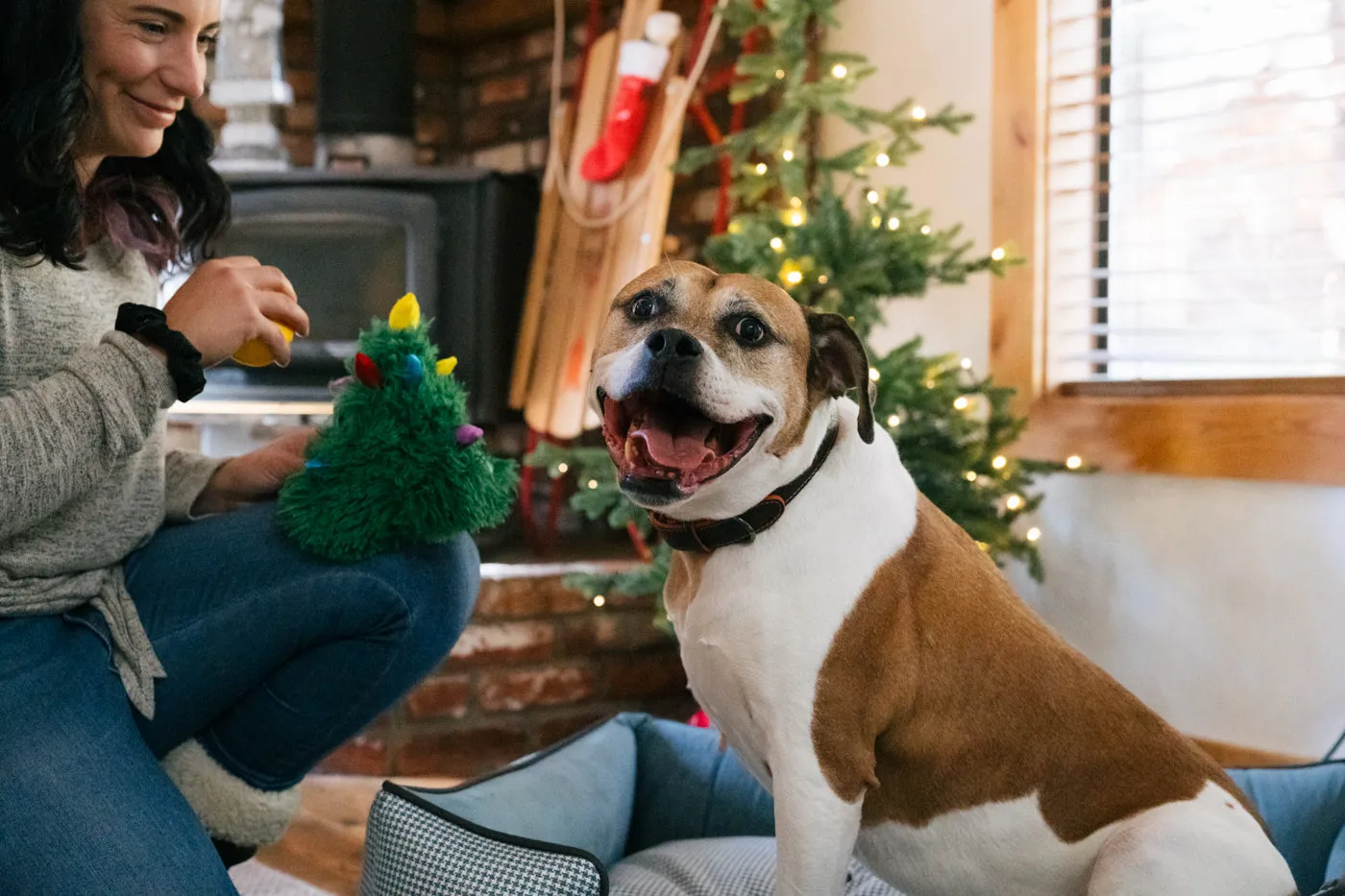 P.L.A.Y. Merry Woofmas Doglas Fur hundleksak gran med pip
