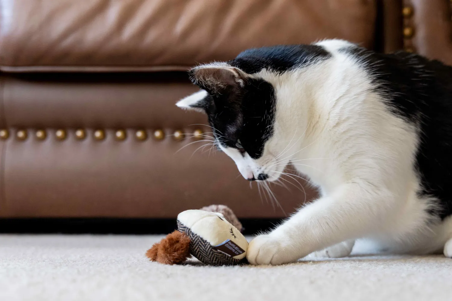 P.L.A.Y. Feline Frenzy Bandit Buddies kattleksaker 2-pack med kattmynta