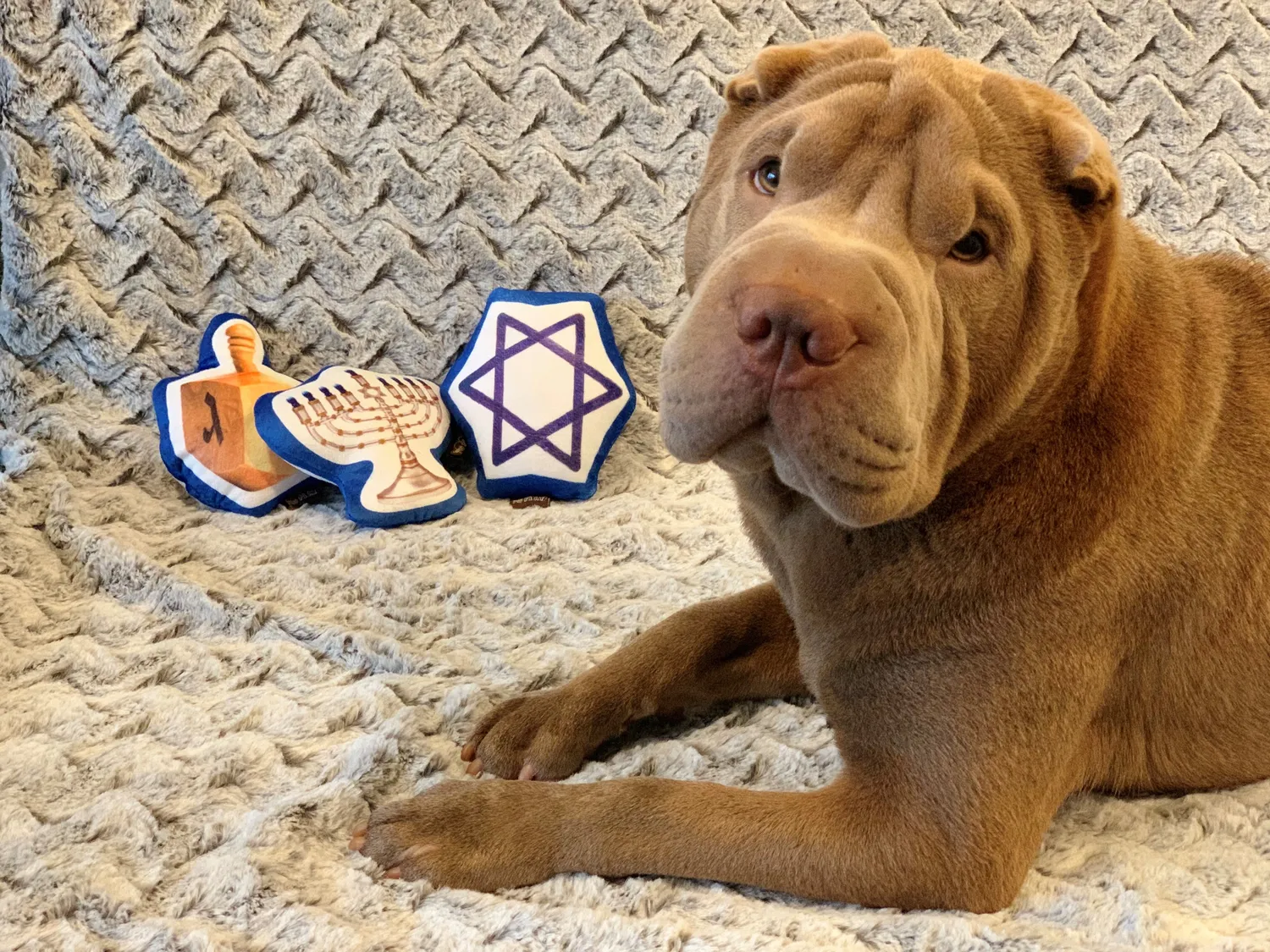 P.L.A.Y. Hanukkah Toy Set mjuk hundleksak pip S-M