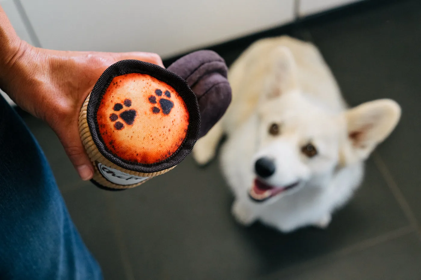 P.L.A.Y. Pup Cup Café Doggo's Java hundleksak med pip