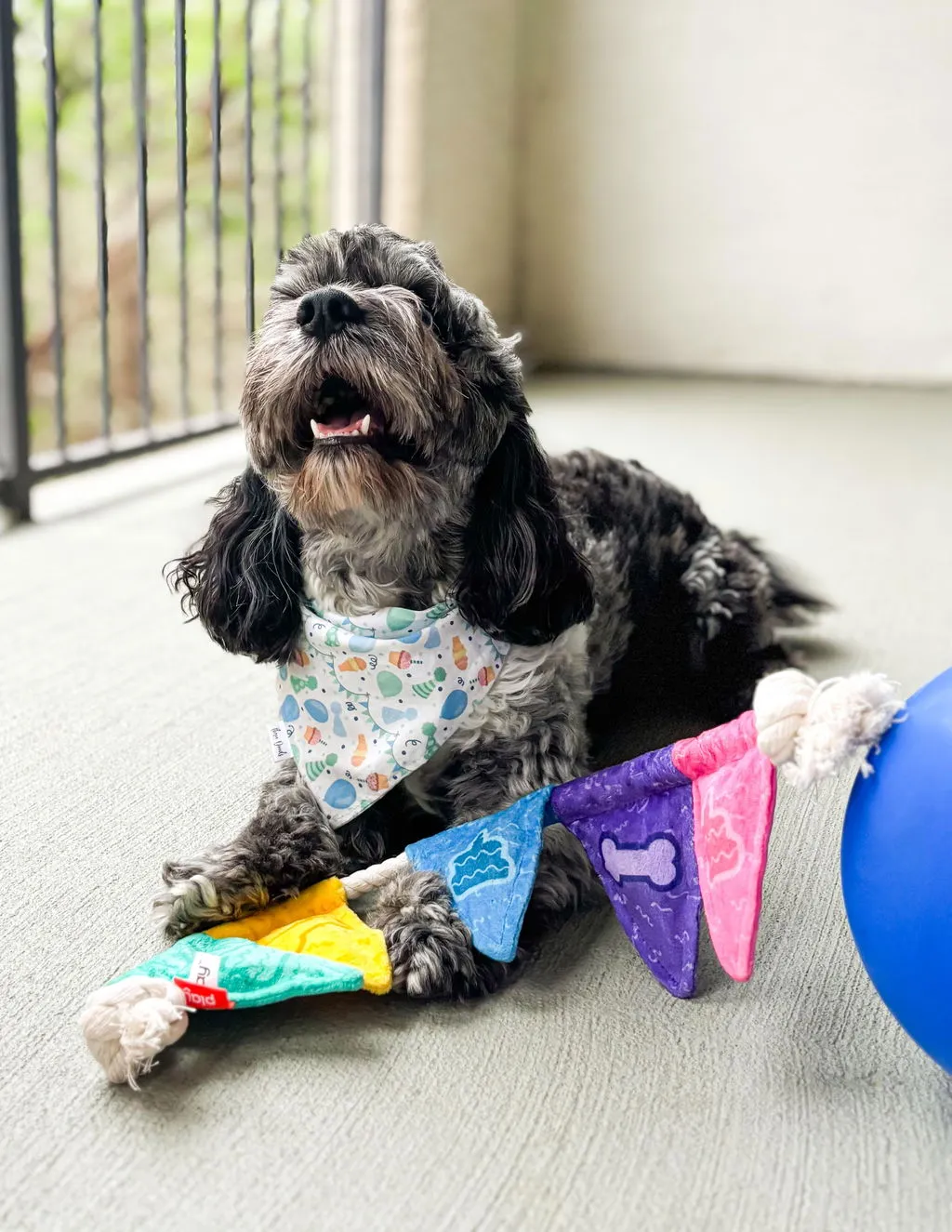 P.L.A.Y. Party Animal Tug n Party Banner dragleksak med pip