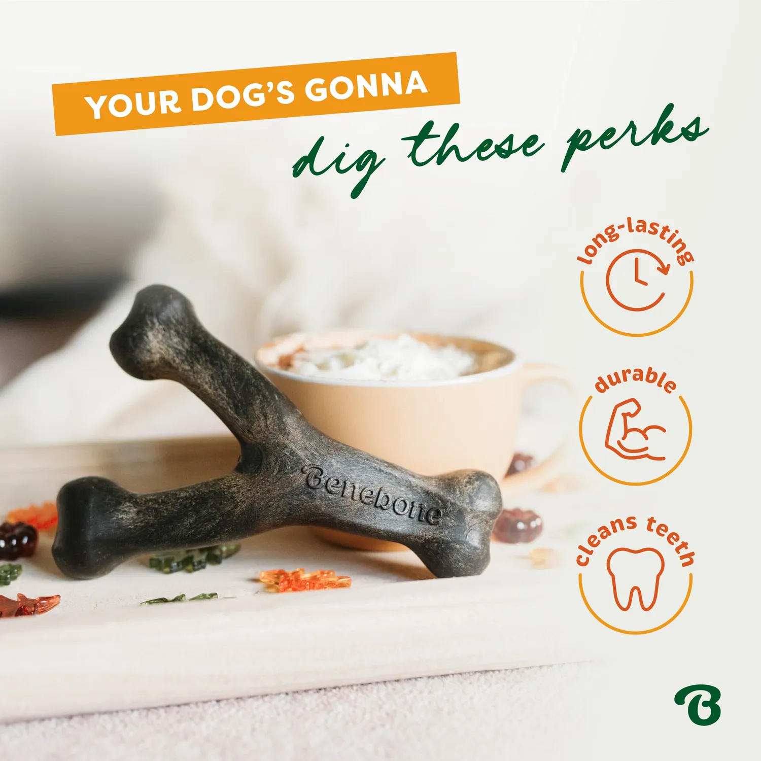 Benebone Pumpkin Spice Wishbone tuggben small pumpakrydda
