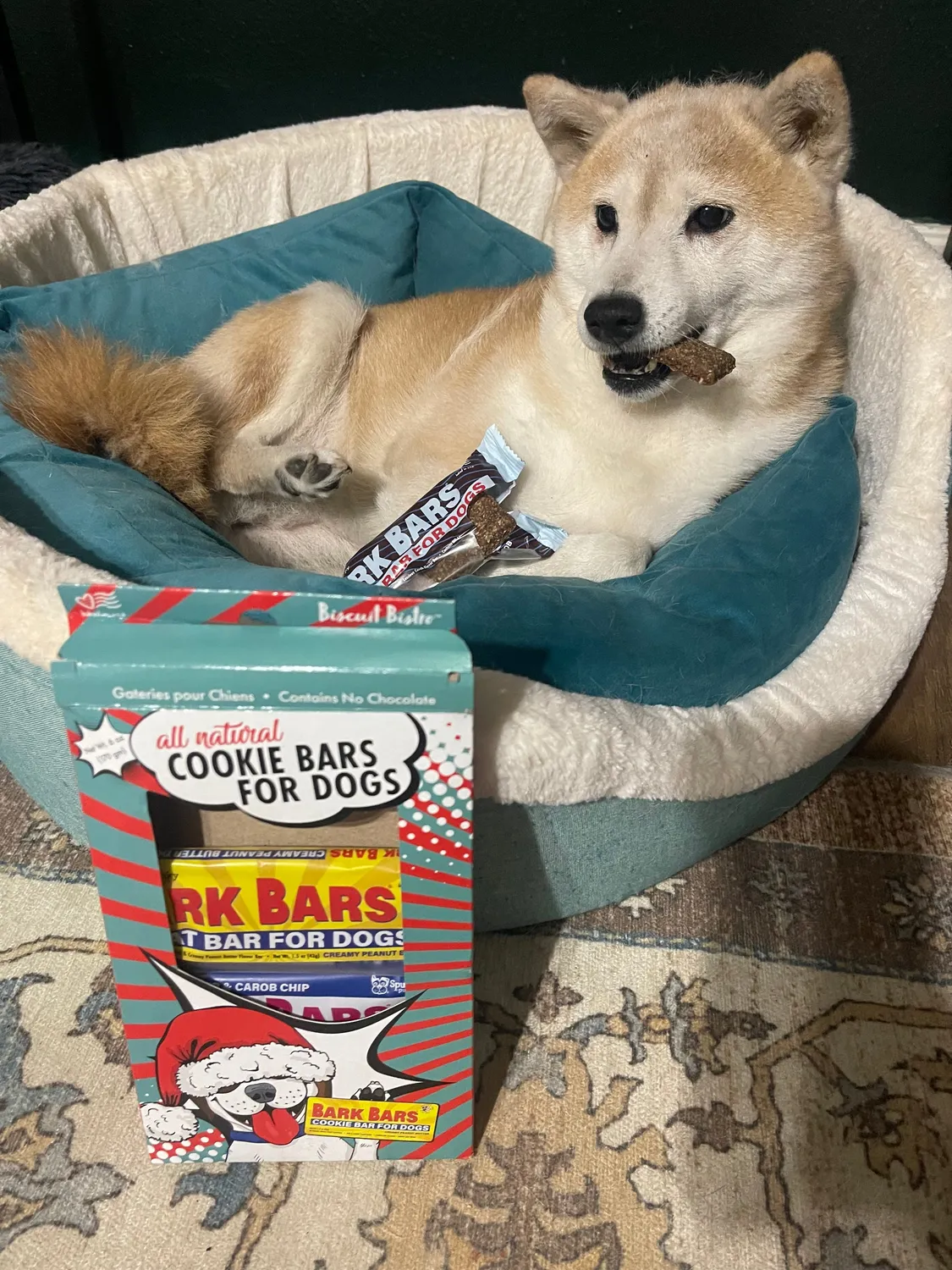 Spunky Pup Bark Bar hundgodis peanut butter singelbar