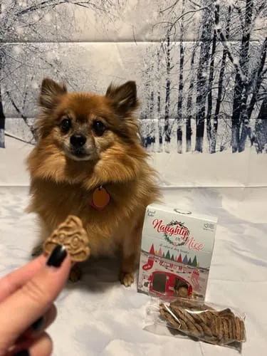 Spunky Pup Naughty or Nice hundkex jordnötssmör jul